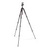 Befree Advanced Aluminum Travel Tripod twist Red, ball head