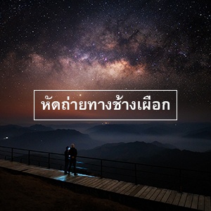 หัดถ่ายช้าง