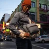 Peak Design Everyday Sling V2 Ash 6L