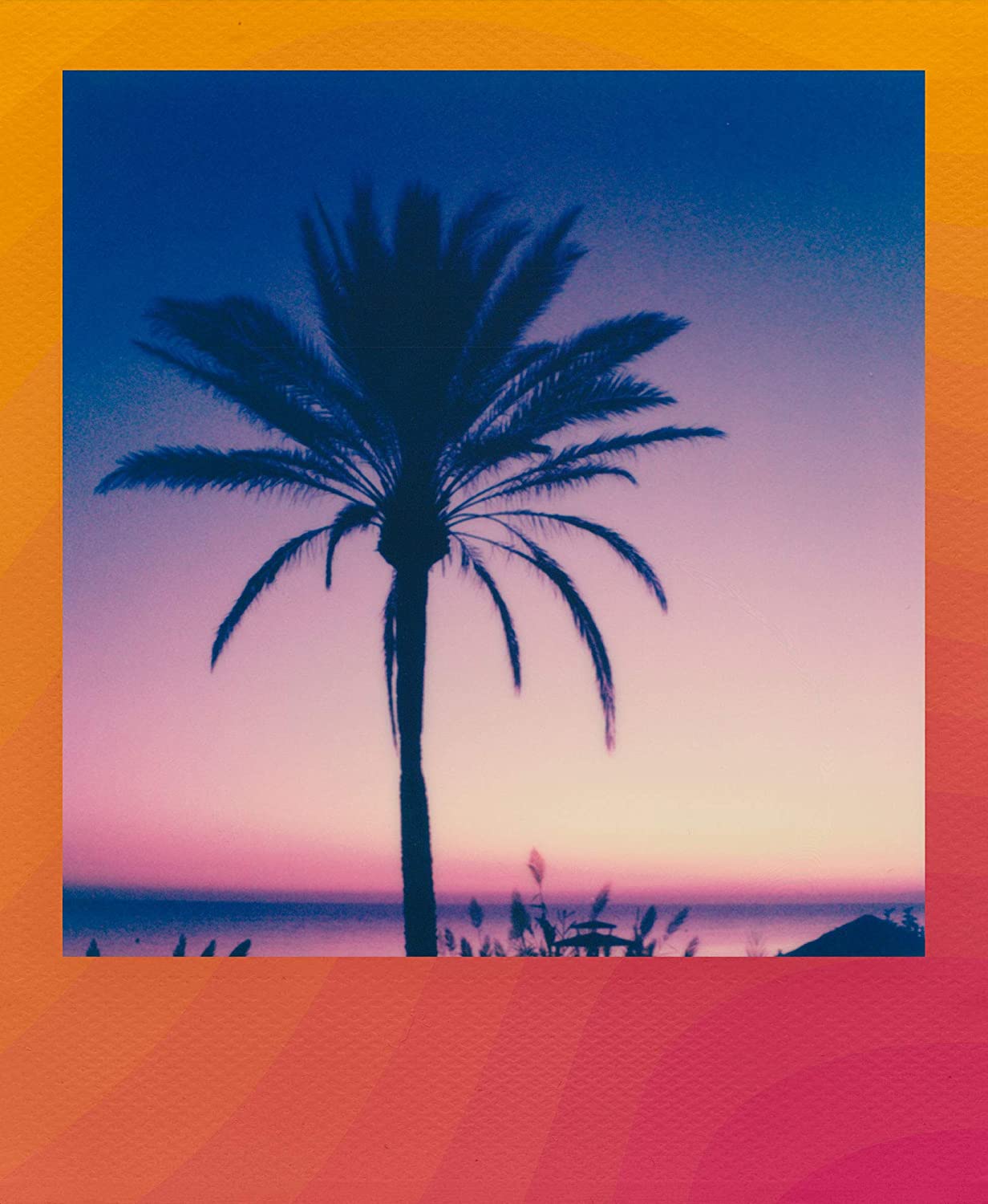 Wave Edition