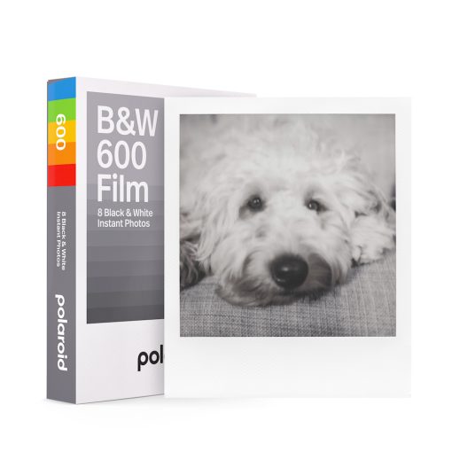 Polaroid 600 Film