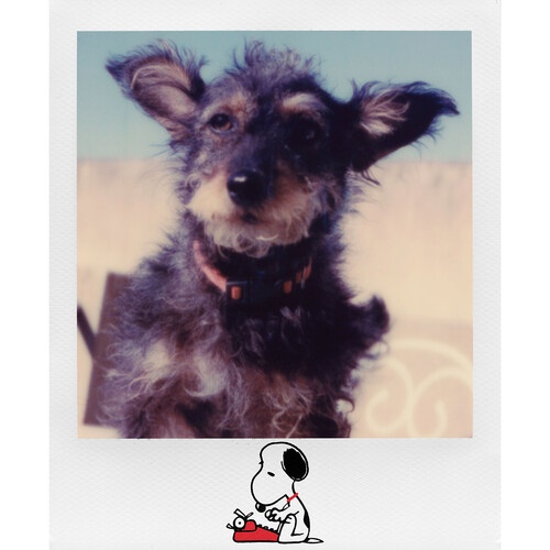 Polaroid Color film I-Type - Peanuts Edition