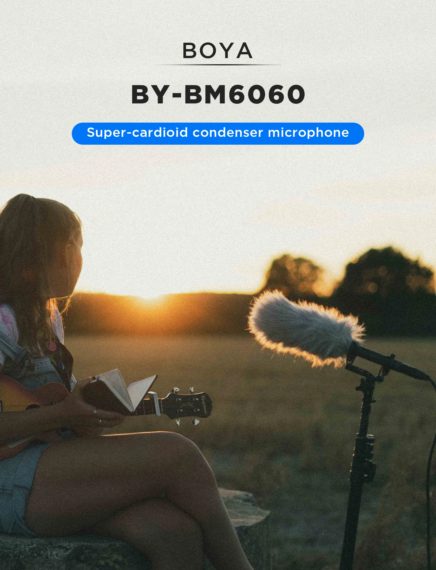 BOYA BY-BM6060