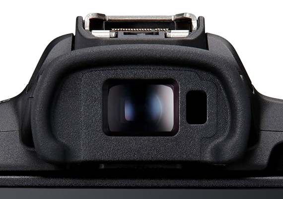 Canon EOS R50