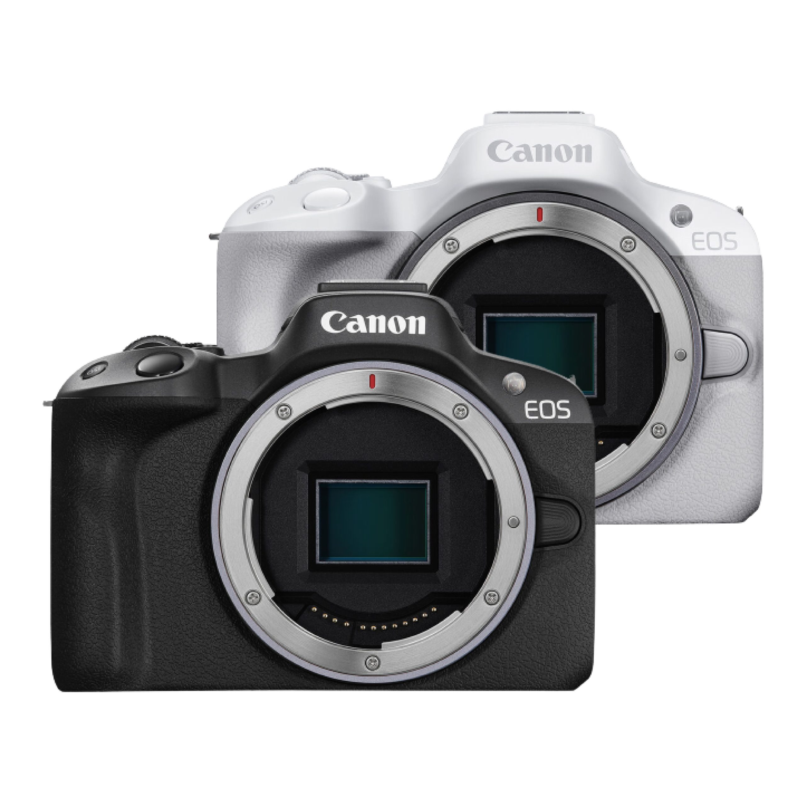 Canon EOS R50-01 Canon R50