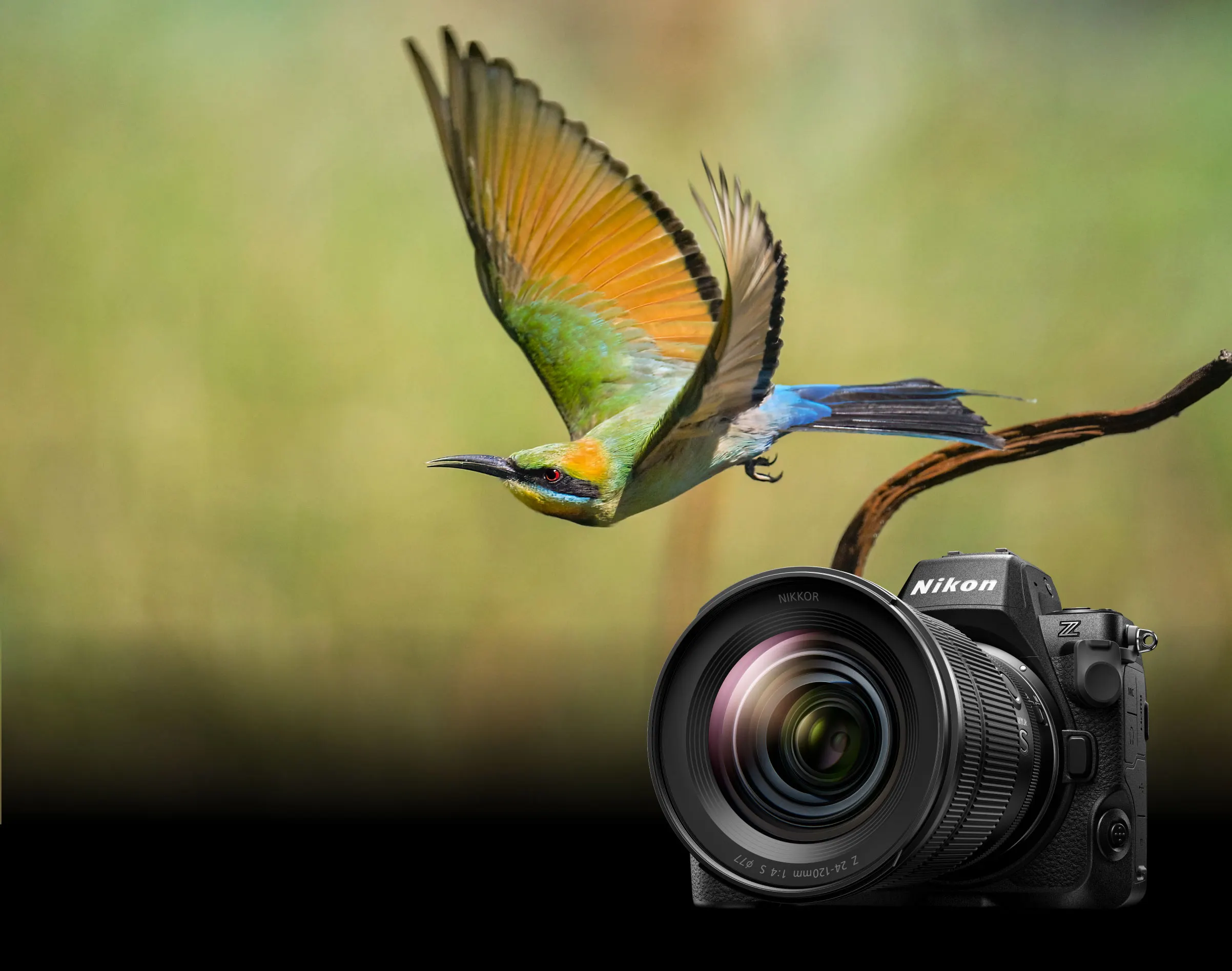 Nikon Z8