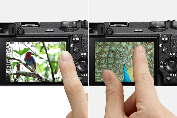 Sony A6700