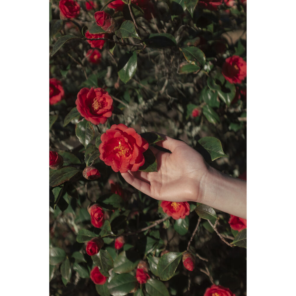 Polaroid Hi·Print 2x3 Paper Cartridge Generation 2-03