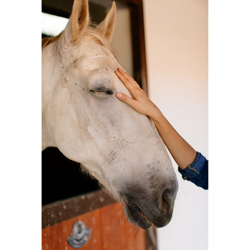 Polaroid Hi·Print 2x3 Paper Cartridge Generation 2-06