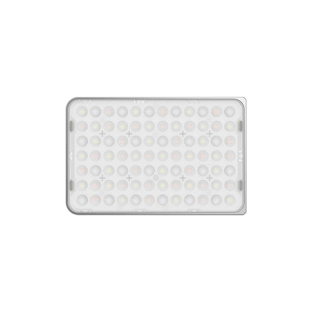 Amaran Ace 25c (Silver)-04 Amaran Ace 25c (Silver)