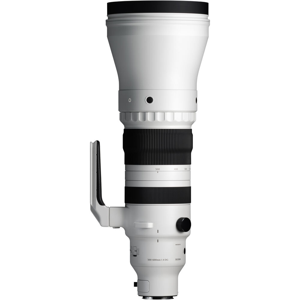 Sigma 300-600mm F4 DG OS Sports-02