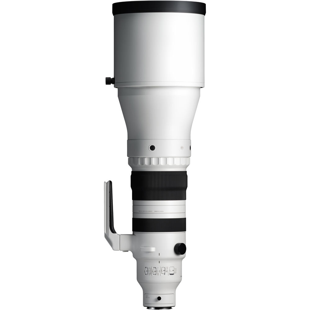 Sigma 300-600mm F4 DG OS Sports-05