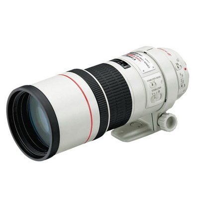 Canon Lens EF 300 F4L IS USM