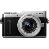 Panasonic GF10