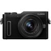 Panasonic GF10