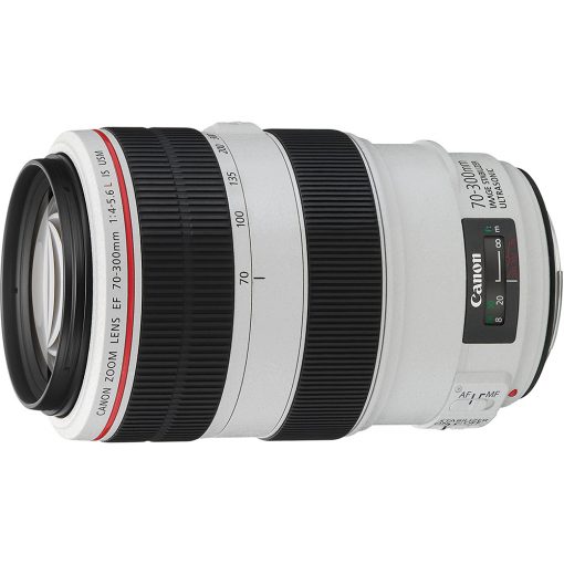 Canon